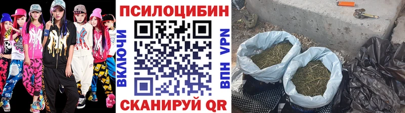 сколько стоит  Шумиха  Галлюциногенные грибы прущие грибы 